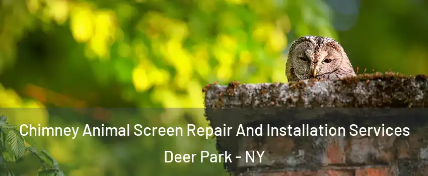  Chimney Animal Screen Repair And Installation Services Deer Park - NY