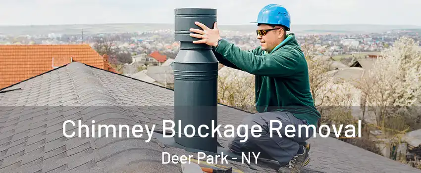  Chimney Blockage Removal Deer Park - NY