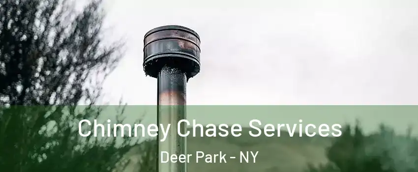  Chimney Chase Services Deer Park - NY