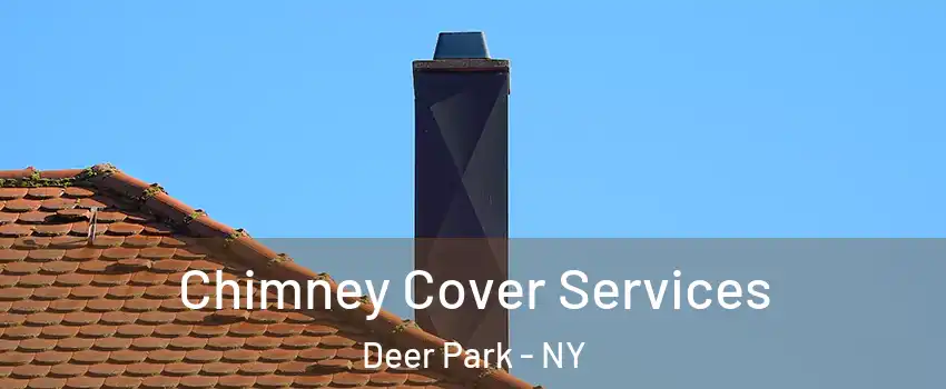  Chimney Cover Services Deer Park - NY