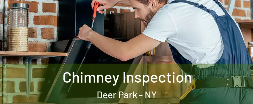  Chimney Inspection Deer Park - NY