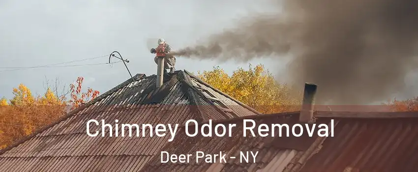  Chimney Odor Removal Deer Park - NY
