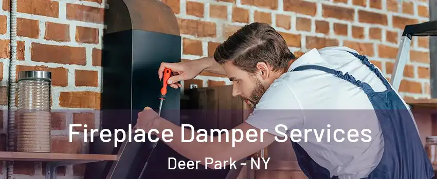  Fireplace Damper Services Deer Park - NY