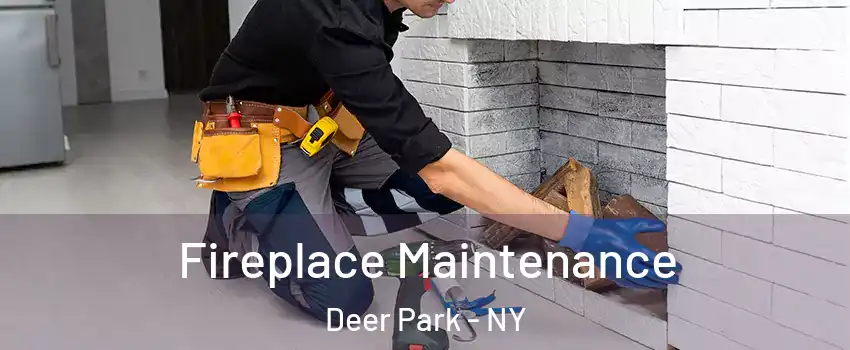  Fireplace Maintenance Deer Park - NY