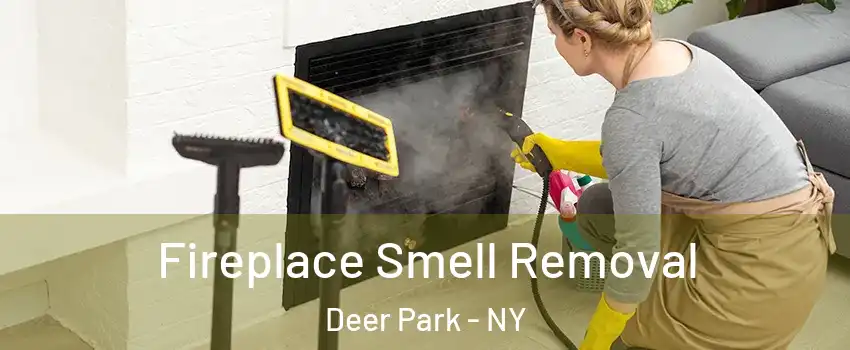  Fireplace Smell Removal Deer Park - NY