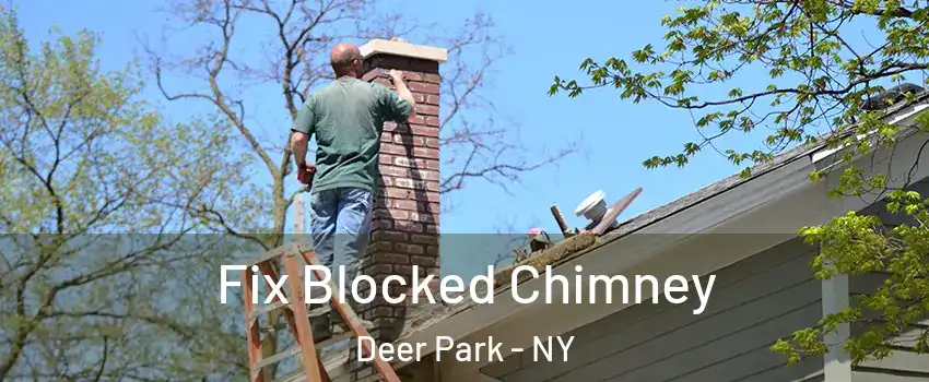  Fix Blocked Chimney Deer Park - NY
