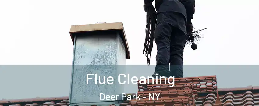  Flue Cleaning Deer Park - NY