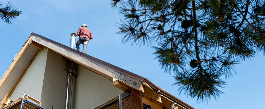 Birds Removal Contractors from Chimney in Deer Park, NY