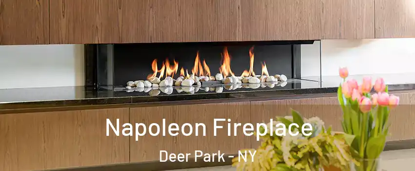  Napoleon Fireplace Deer Park - NY